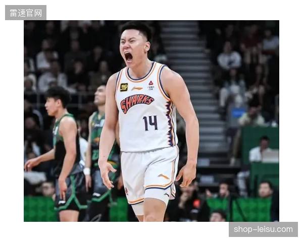 李弘权的投篮点数据显示其成长为可靠的锋线终结点，尤其擅长底角三分。
